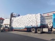 把握機(jī)遇、鉚足干勁、承勢而上