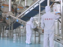 2025年的第一個(gè)月，承德亞歐果仁有限公司在山杏產(chǎn)業(yè)的道路上持續(xù)奮進(jìn)，展現(xiàn)出蓬勃的發(fā)展活力。